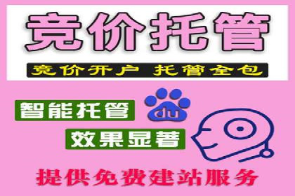 百度推广平台实战经验：从入门到精通